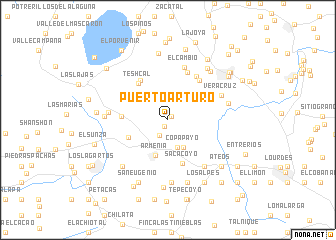 map of Puerto Arturo