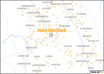 map of Puerto Pineda