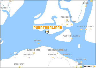 map of Puerto Salinas