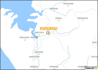 map of Punganui