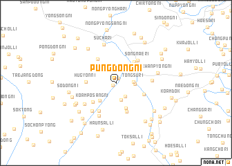 map of P\