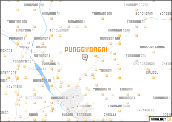 map of P\