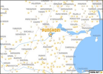 map of P\