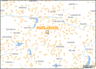 map of P\