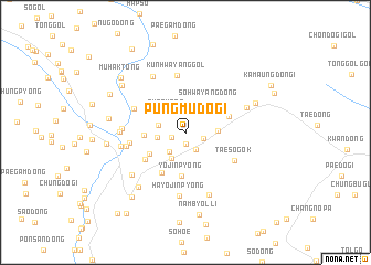 map of P\