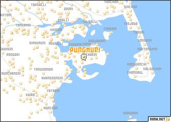 map of P\