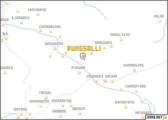 map of P\