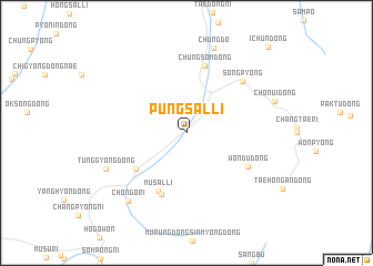 map of P\