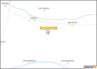 map of Pushkino