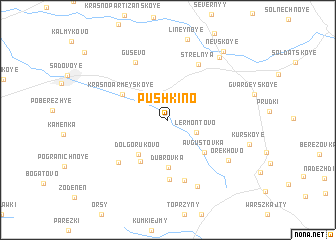 map of Pushkino