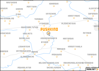 map of Pushkino