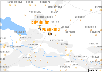 map of Pushkino