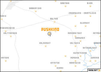 map of Pushkino