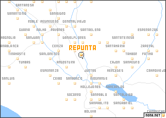 map of Repunta