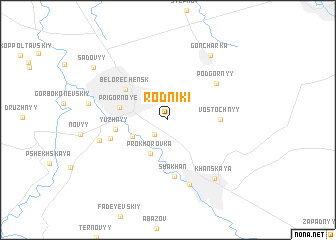 map of Rodniki