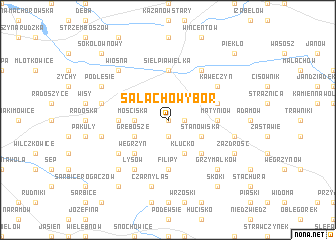 map of Salachowy Bór