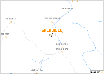 map of Saladillo