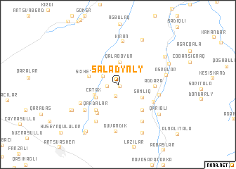 map of Saladynly