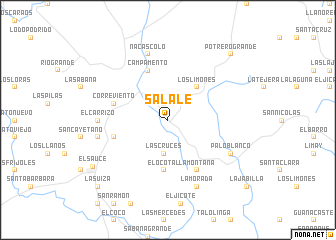 map of Salale