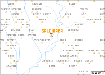 map of Sălcioara