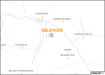 map of Saleykino