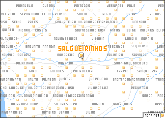 map of Salgueirinhos