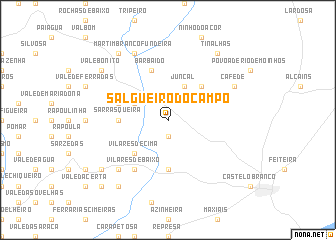 map of Salgueiro do Campo