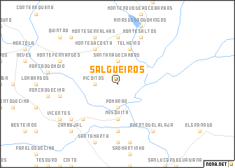 map of Salgueiros