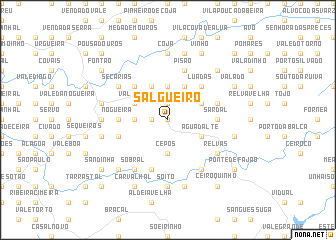 map of Salgueiro