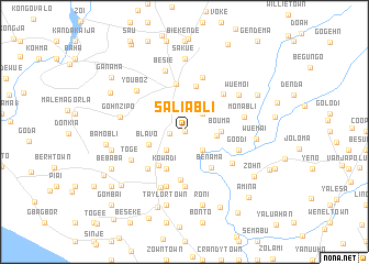 map of Saliabli