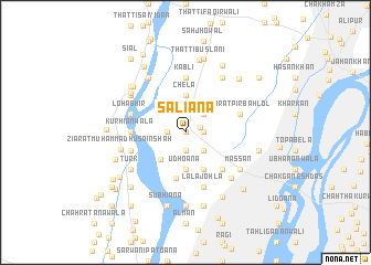 map of Saliāna