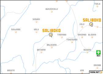 map of Saliboko