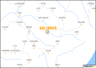 map of Saliboko