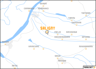 map of Saligny