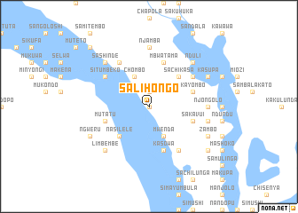 map of Salihongo