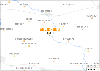 map of Salikhovo