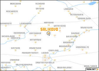 map of Salikovo