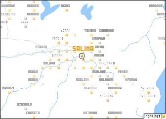 map of Salima