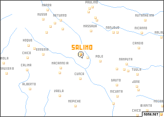 map of Salimo