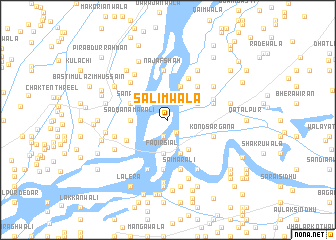 map of Salimwāla