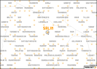 map of Salim