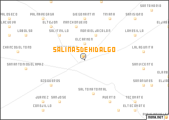 map of Salinas de Hidalgo