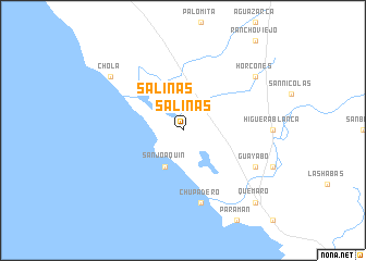 map of Salinas