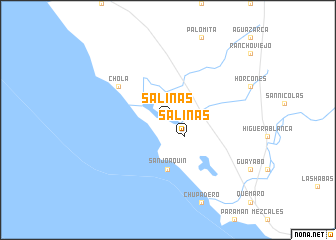 map of Salinas