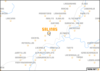 map of Salinas