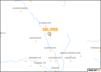 map of Salinas