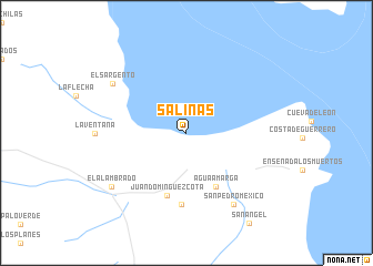 map of Salinas