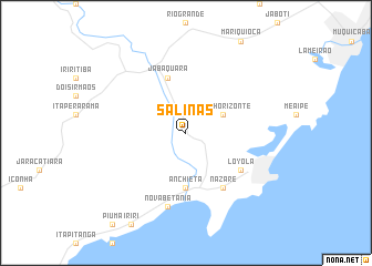 map of Salinas