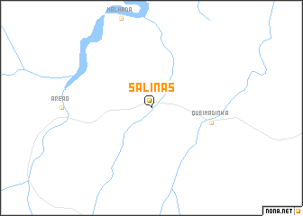 map of Salinas