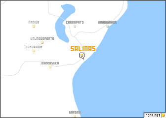 map of Salinas